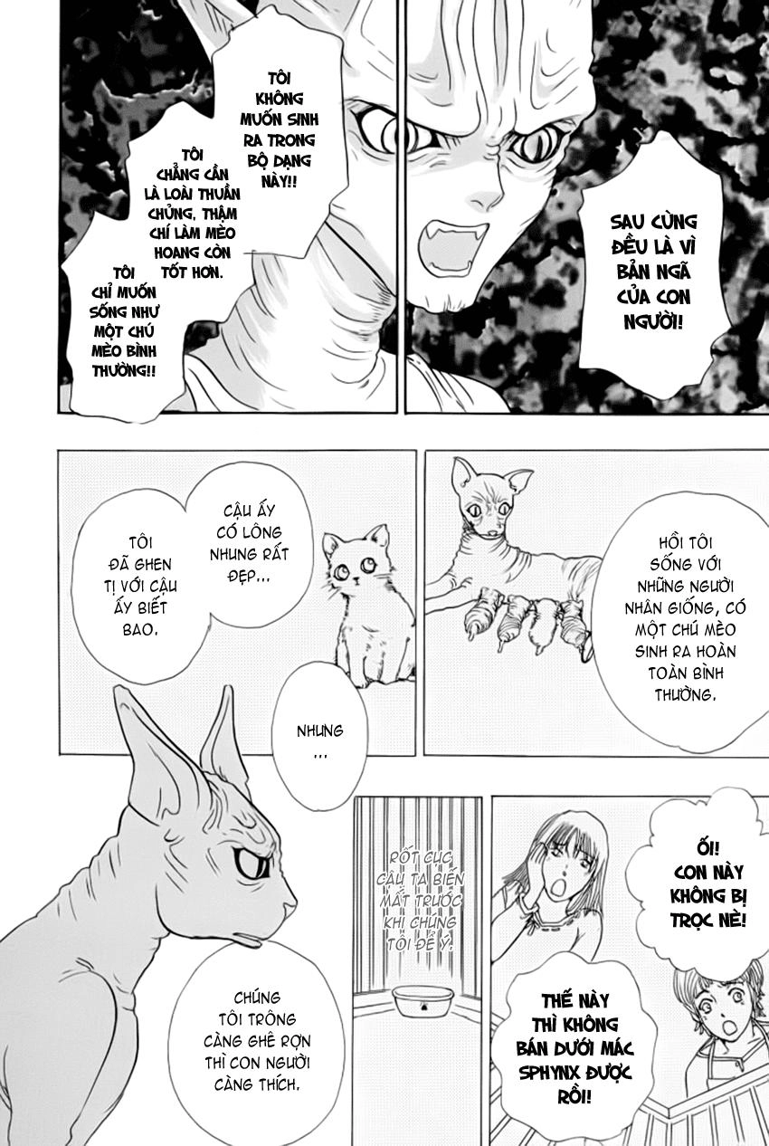 New Pet Shop Of Horror Chapter 10 - 17