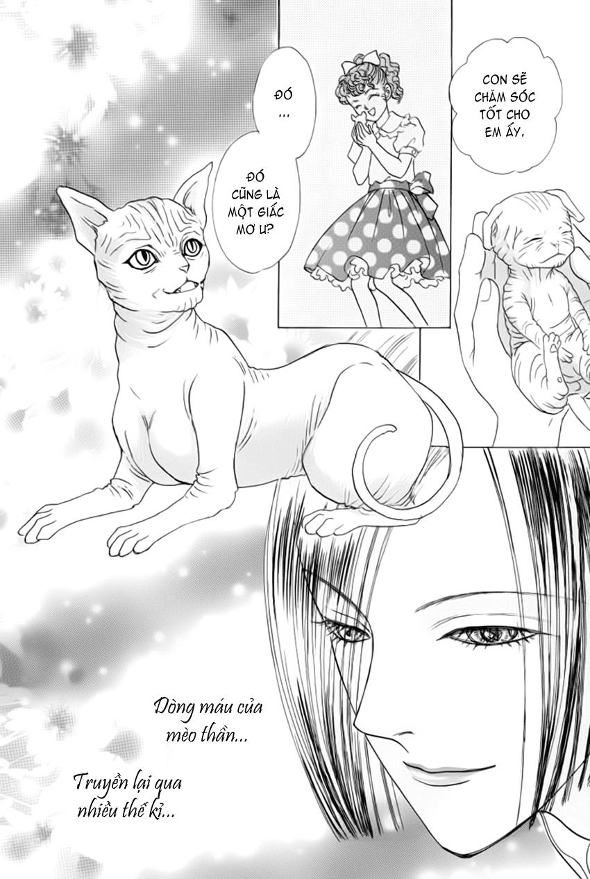 New Pet Shop Of Horror Chapter 10 - 47