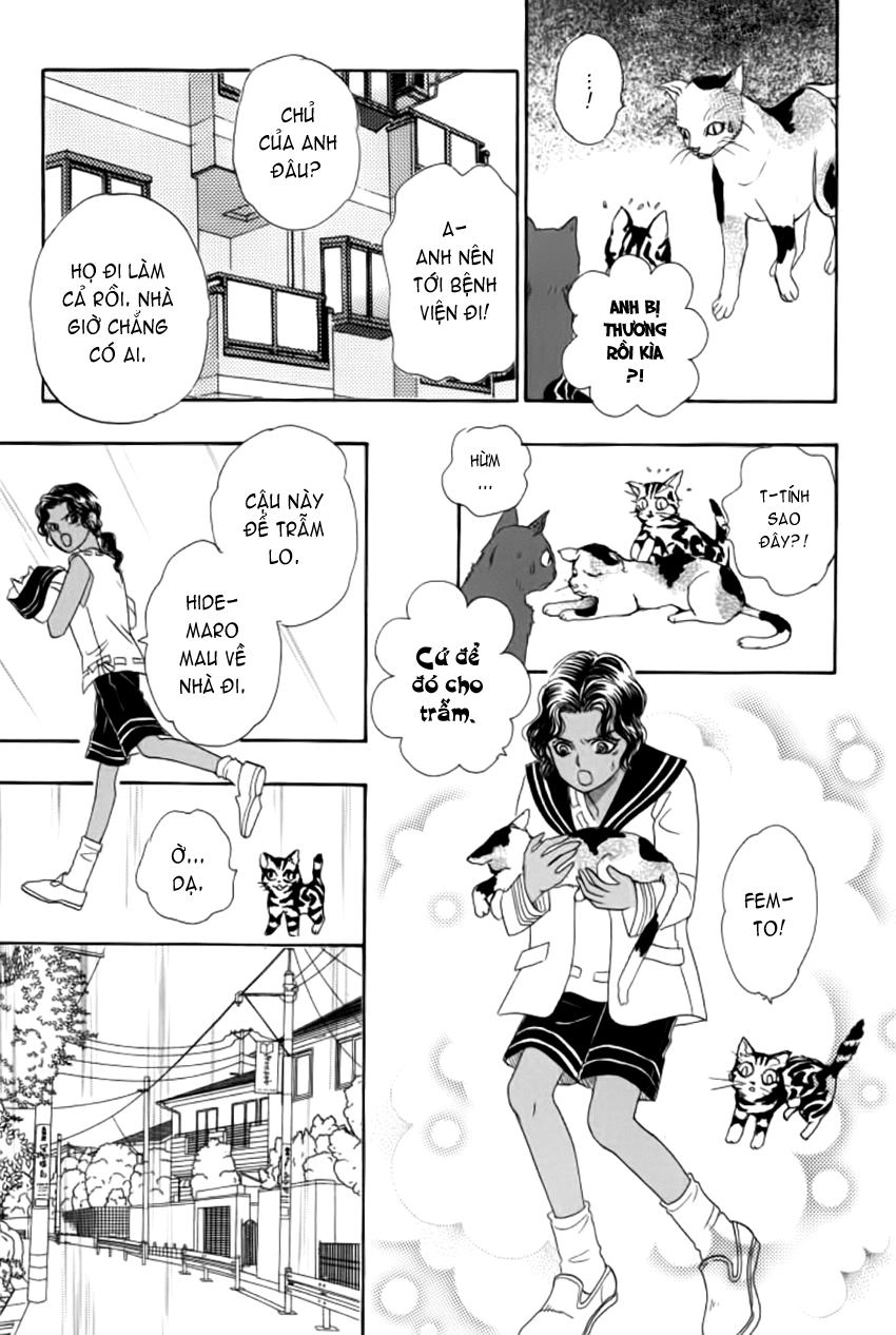 New Pet Shop Of Horror Chapter 12 - 13