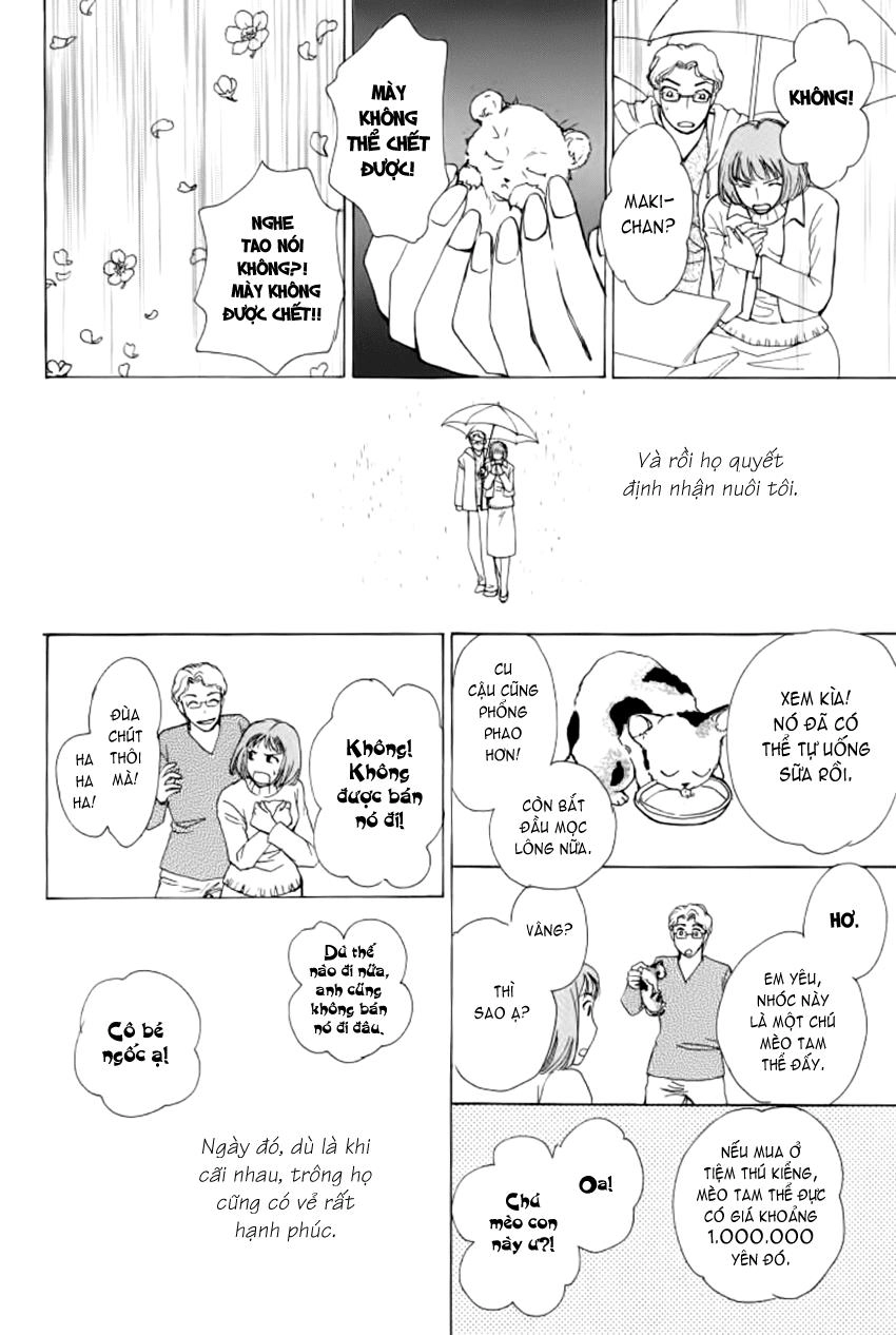 New Pet Shop Of Horror Chapter 12 - 22