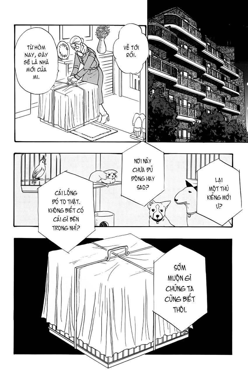 New Pet Shop Of Horror Chapter 14 - 31