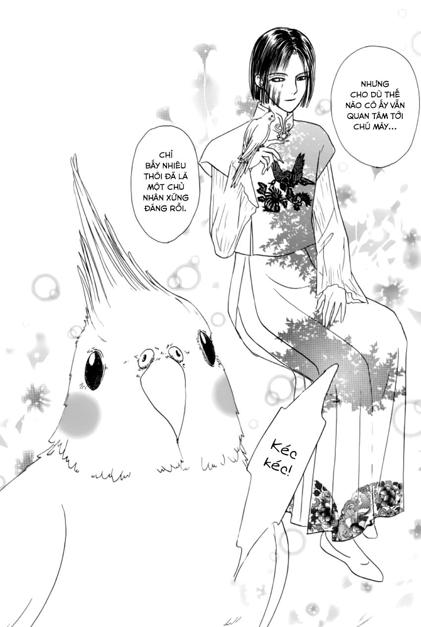 New Pet Shop Of Horror Chapter 17 - 9