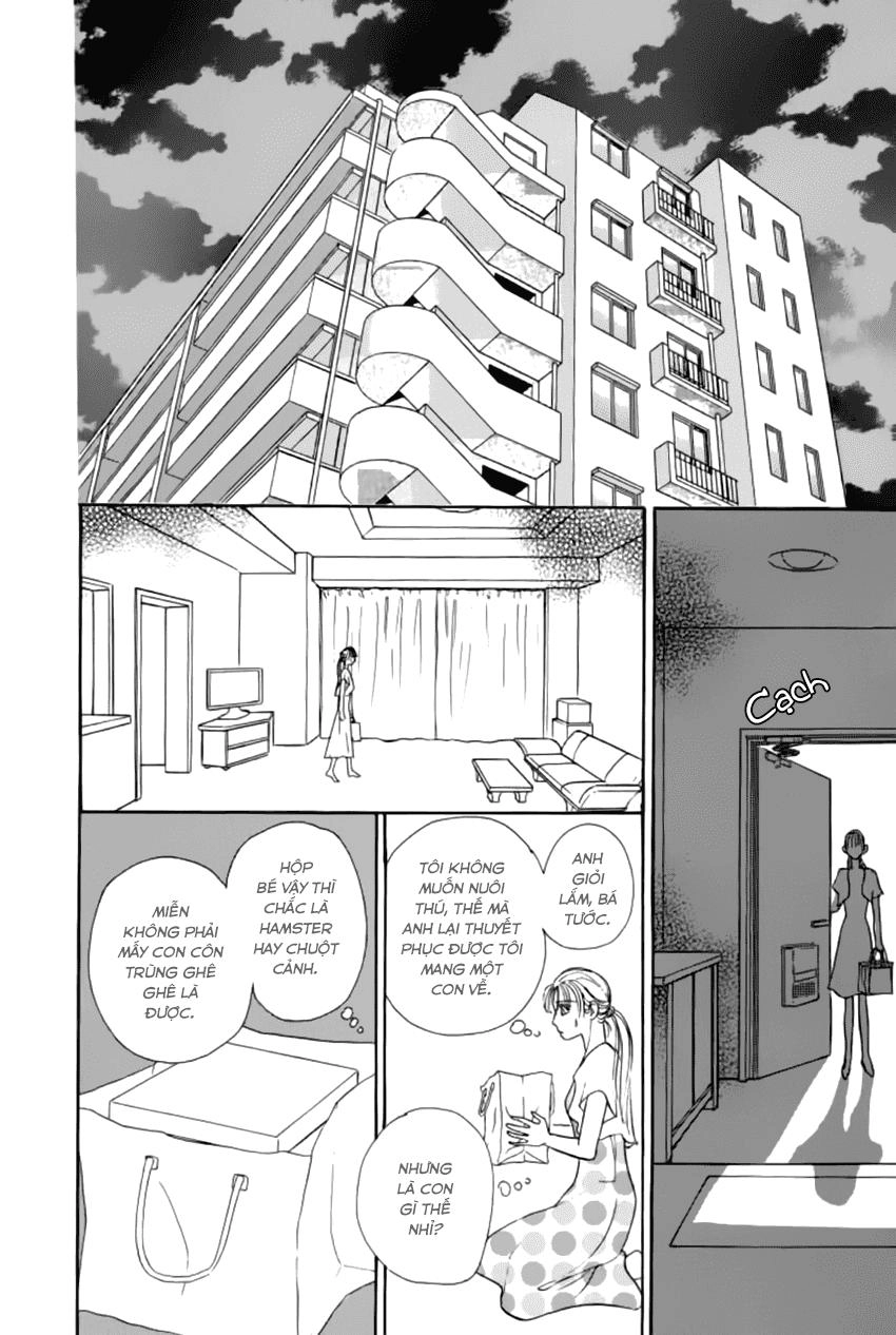 New Pet Shop Of Horror Chapter 18 - 13