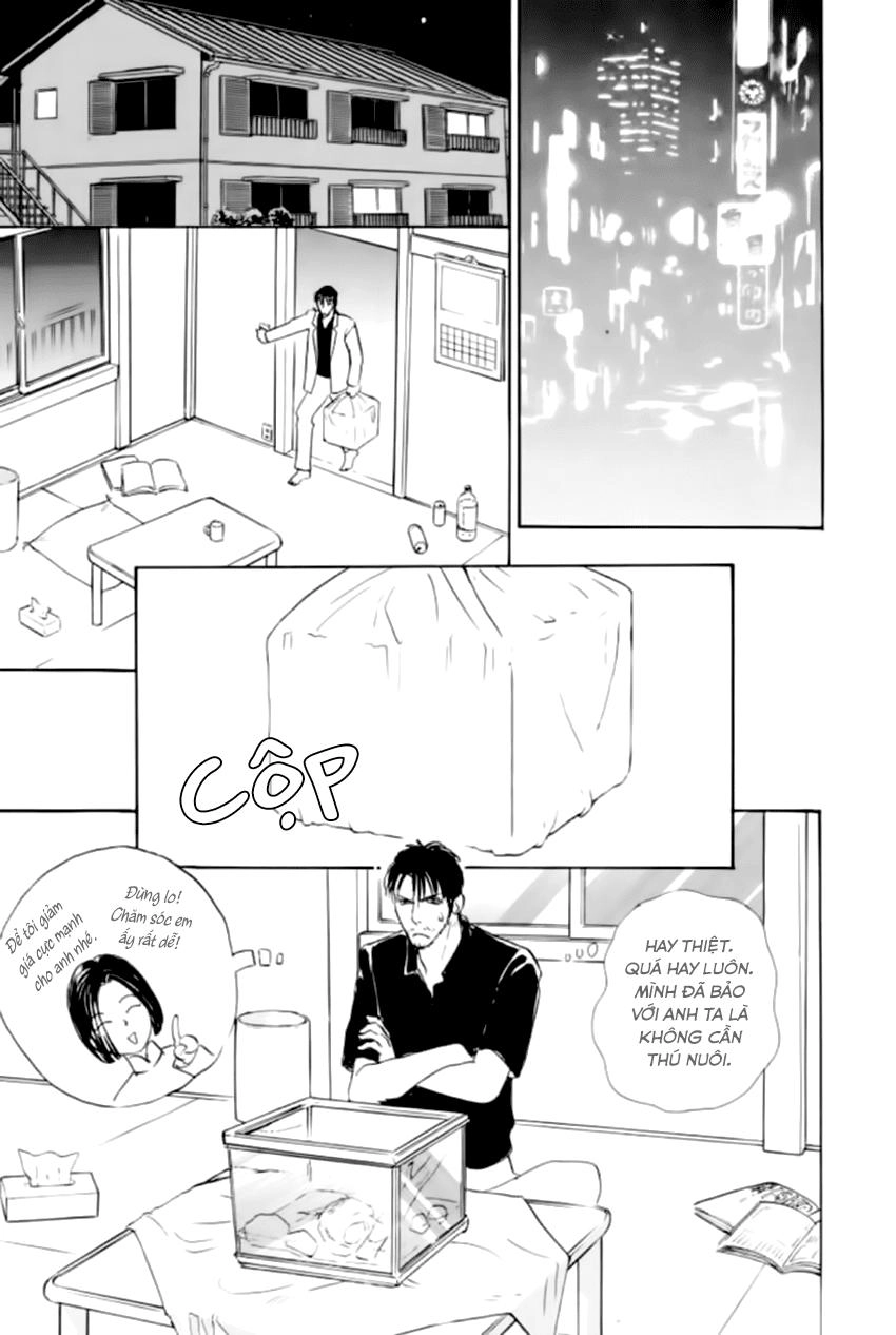 New Pet Shop Of Horror Chapter 22 - 22