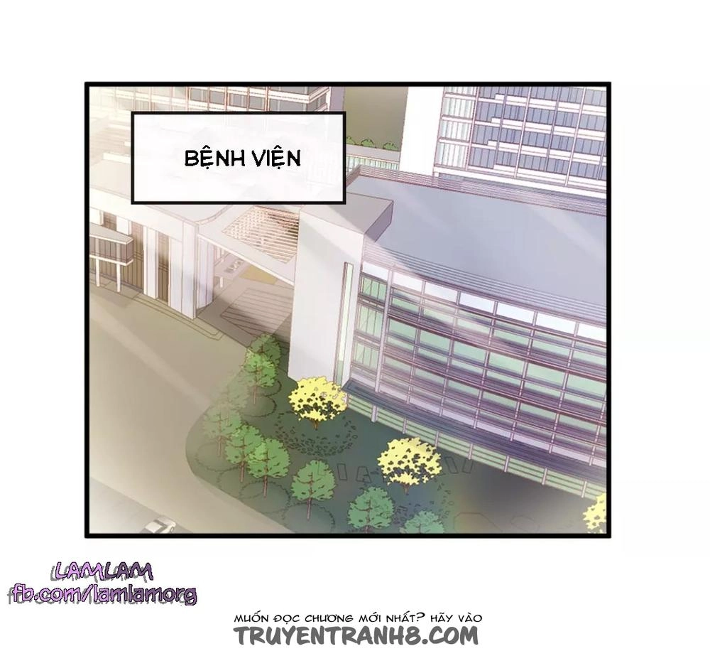 Không Cẩn Thận Vớ Phải Ông Sếp Vạn Tỷ Chapter 8 - 20