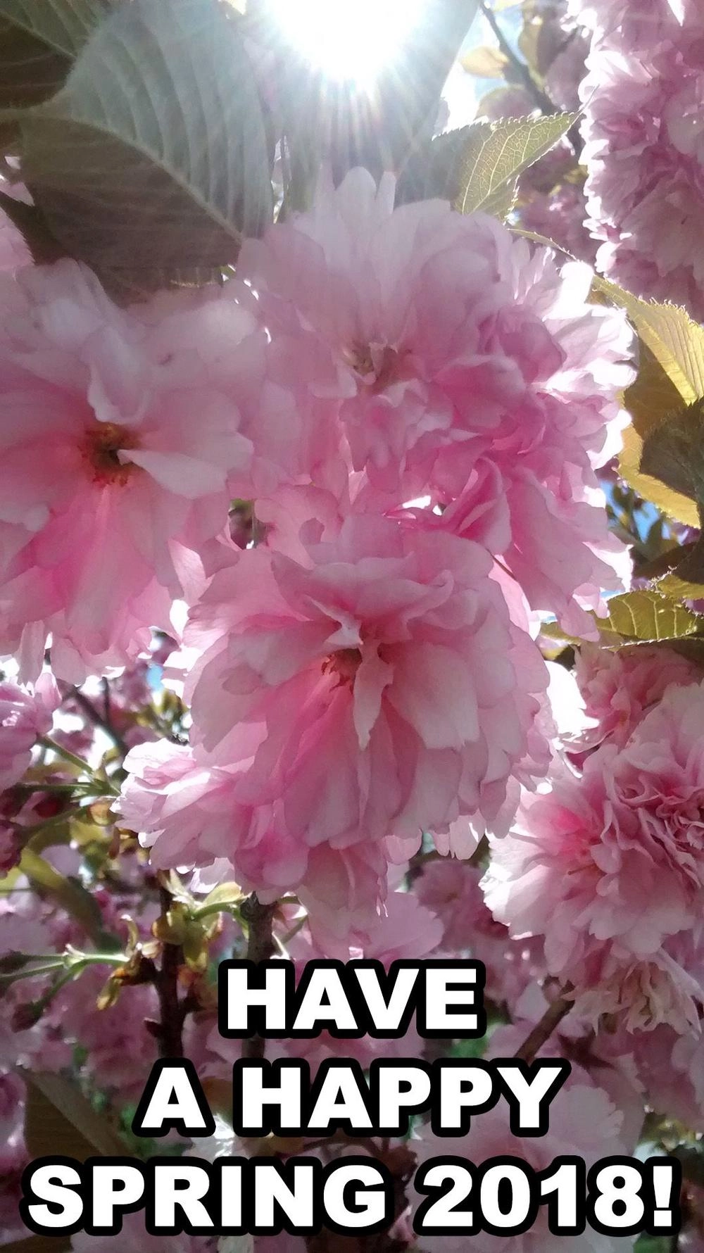 Mujaki No Rakuen: Parallel Chapter 6 - 25