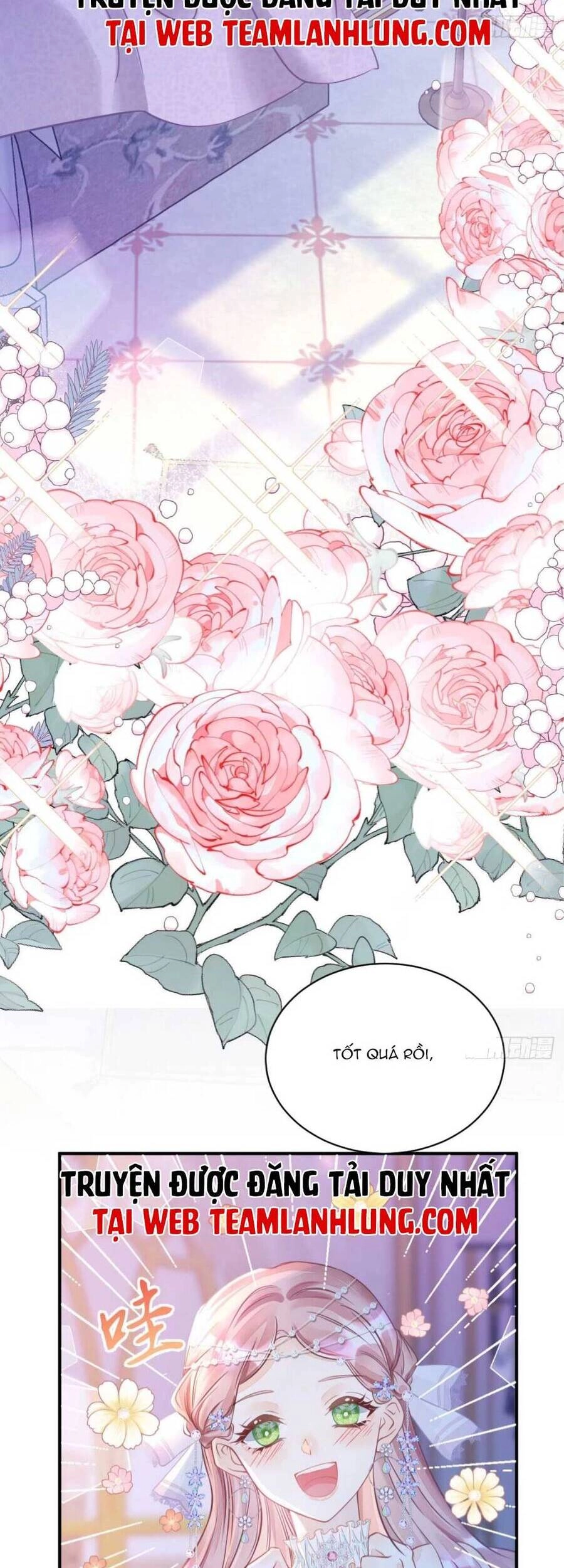 Tôi Không Muốn Làm Bạch Nguyệt Quang Của Kẻ Phản Diện Chapter 7 - 16