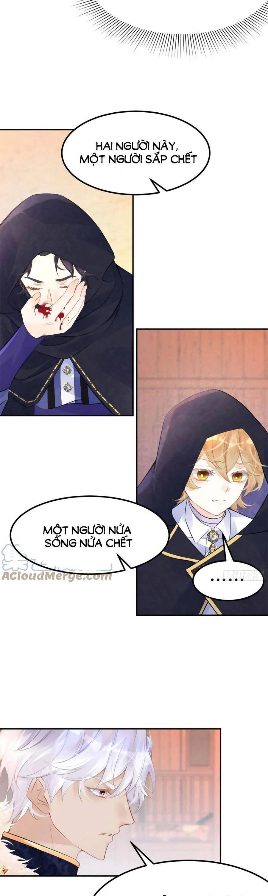 Tôi Không Muốn Làm Bạch Nguyệt Quang Của Kẻ Phản Diện Chapter 32 - 13