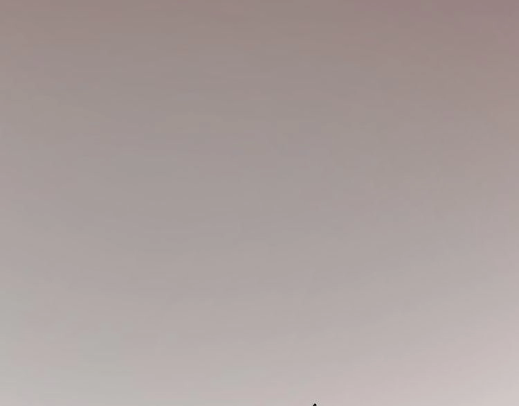 Lượm Được Một Tiểu Hồ Ly 2 Chapter 35 - 37