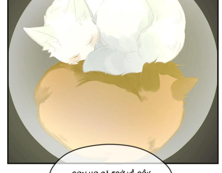 Lượm Được Một Tiểu Hồ Ly 2 Chapter 87 - 24