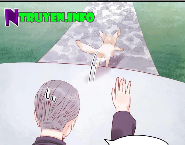 Lượm Được Một Tiểu Hồ Ly Chapter 48 - 28