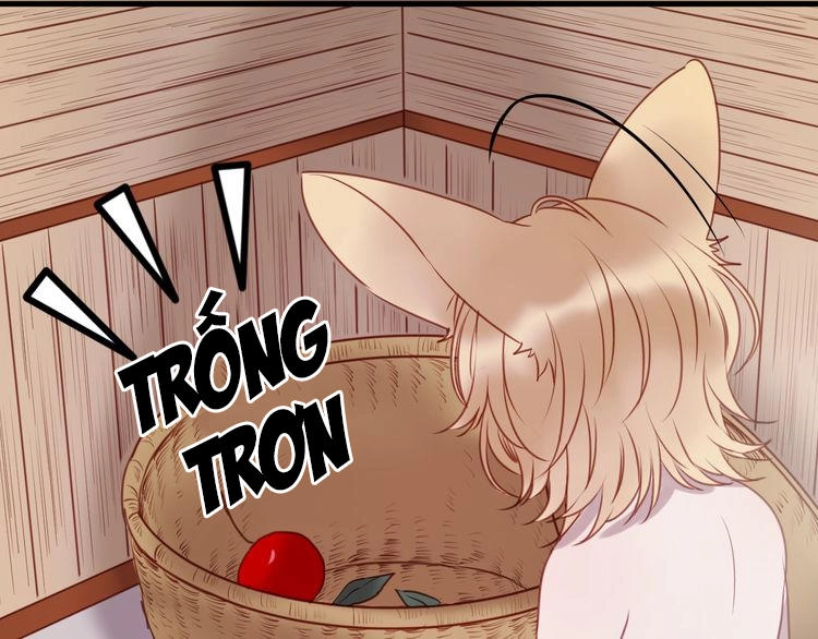 Lượm Được Một Tiểu Hồ Ly Chapter 61 - 29