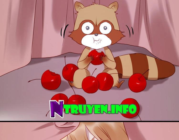 Lượm Được Một Tiểu Hồ Ly Chapter 61 - 48