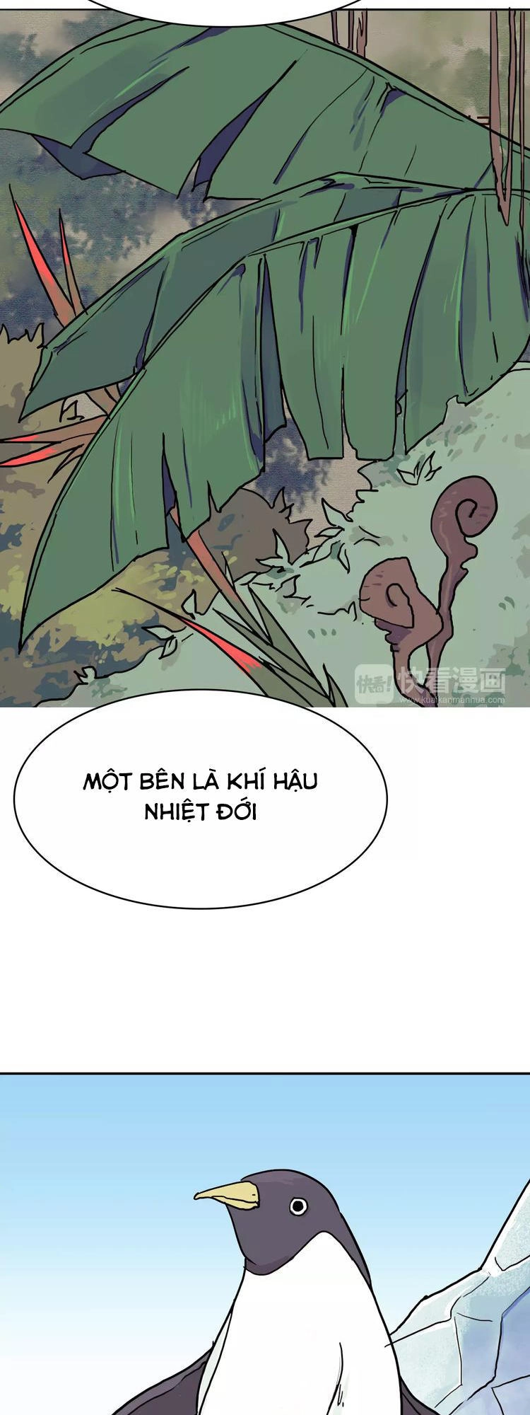 Bí Mật Đảo Ngọc Dương Chapter 2 - 15