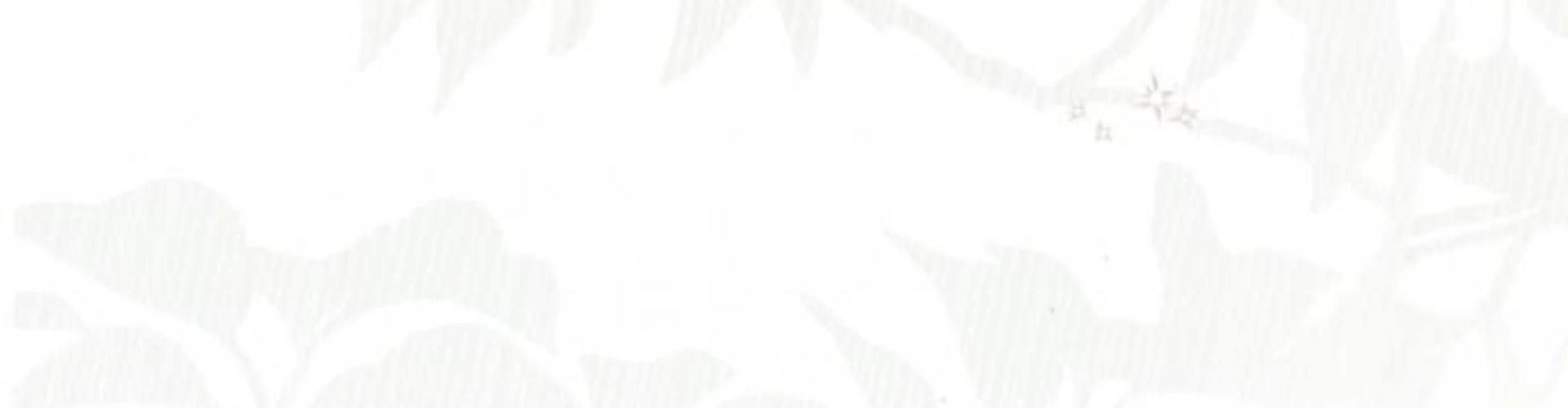 Hoàng Hậu Tái Hôn Chapter 236 - 55