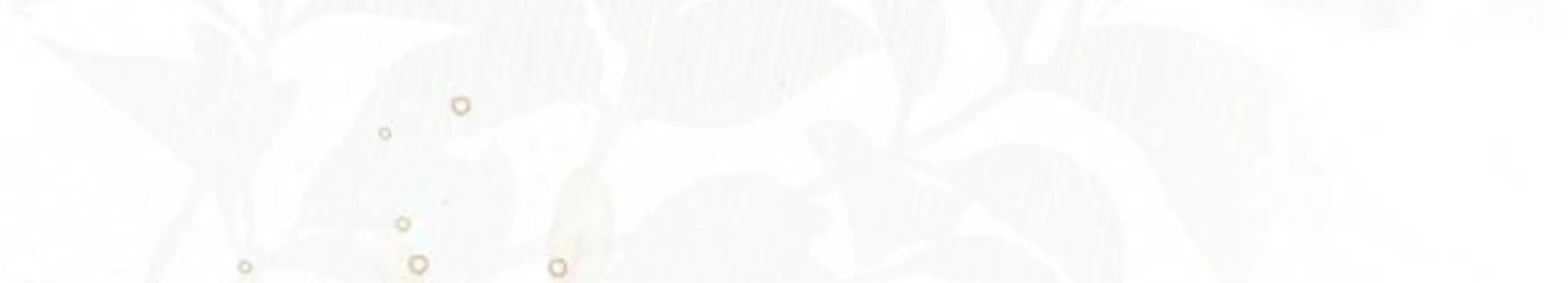 Hoàng Hậu Tái Hôn Chapter 236 - 56