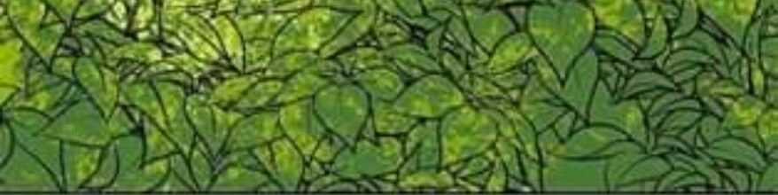 Hoàng Hậu Tái Hôn Chapter 2 - 56