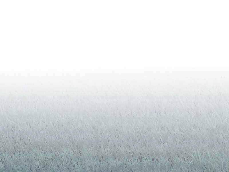 Tồn Tại Vĩnh Hằng Chapter 8 - 50