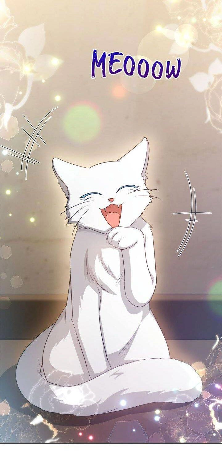 Nữ Chính Bỏ Trốn Ở Nhà Bên Chapter 31 - 65