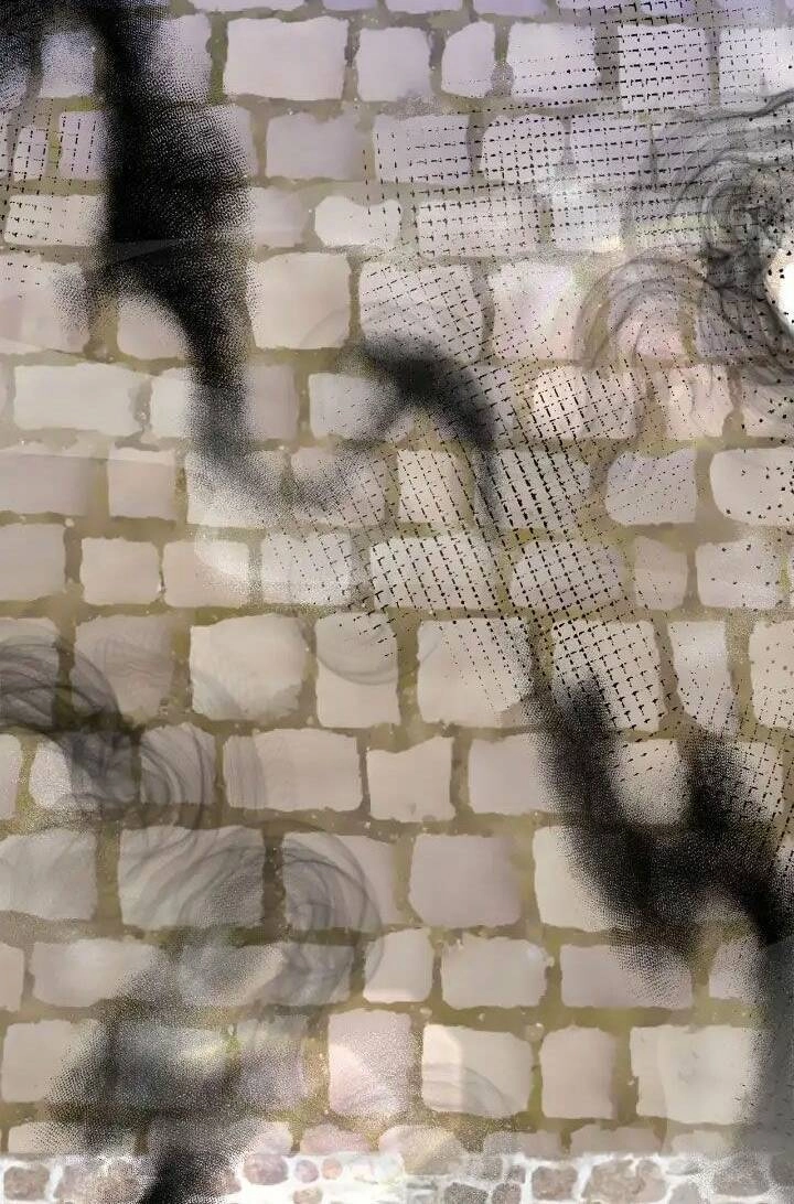 Nữ Chính Bỏ Trốn Ở Nhà Bên Chapter 2 - 22