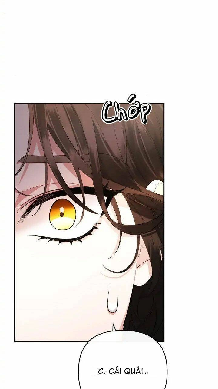 Nữ Chính Bỏ Trốn Ở Nhà Bên Chapter 2 - 31