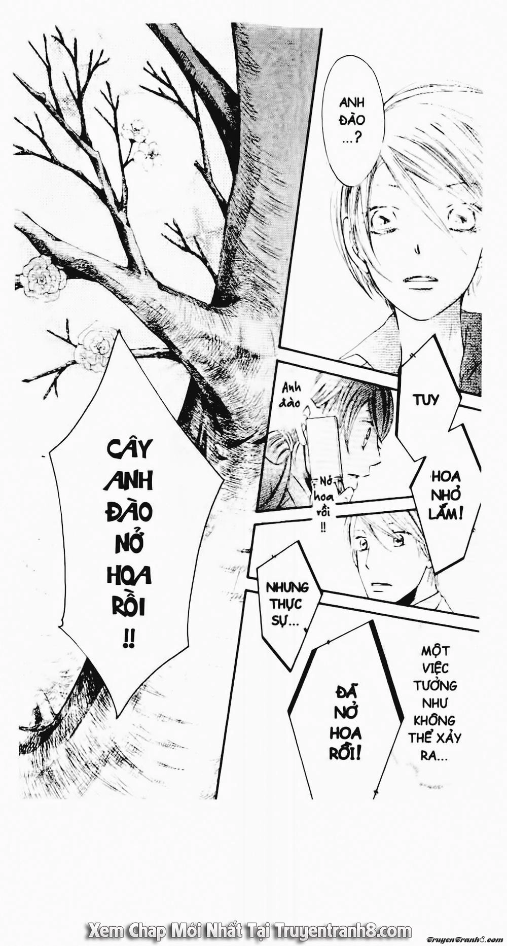 Tiểu Thư Sachie Chapter 48 - 16