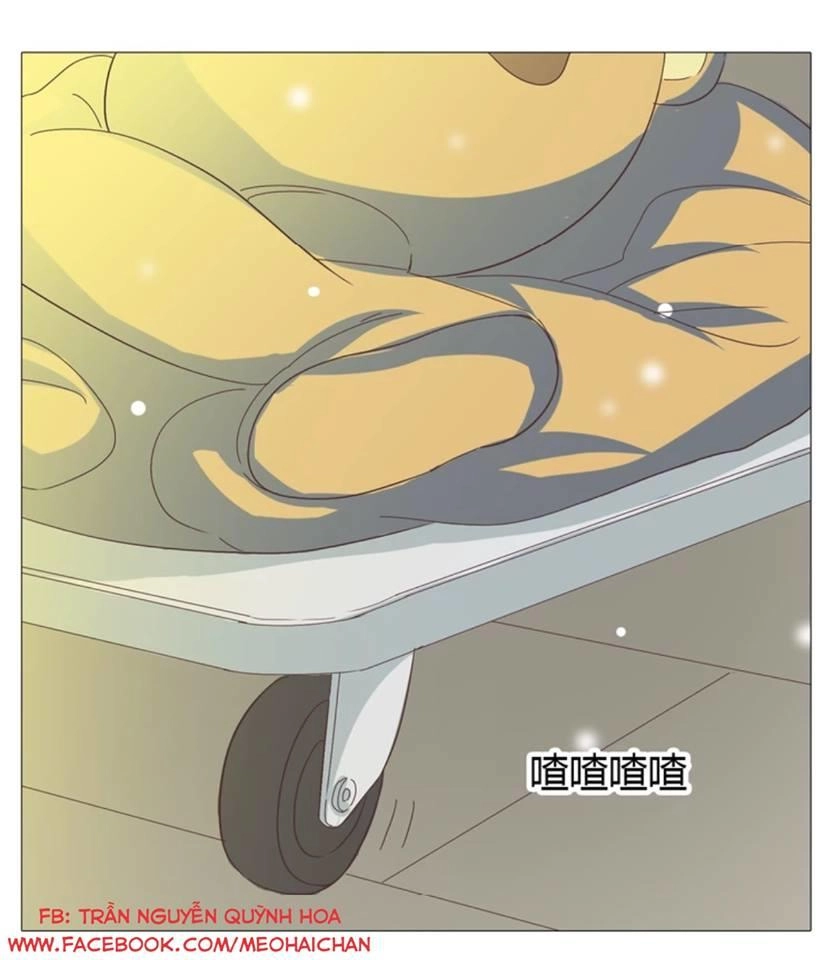 Xin Chào! Dân Nữ Chapter 26 - 45