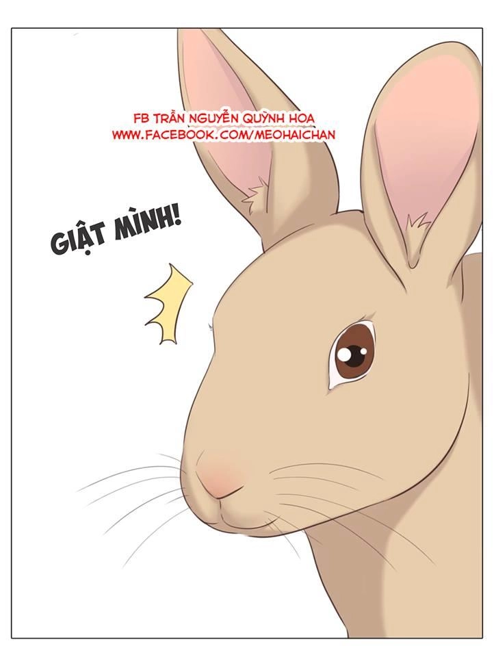 Xin Chào! Dân Nữ Chapter 29 - 54