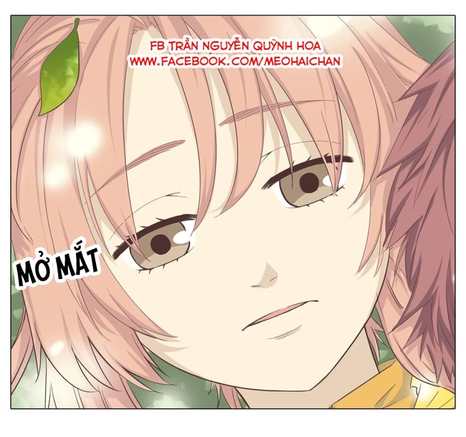 Xin Chào! Dân Nữ Chapter 29 - 55