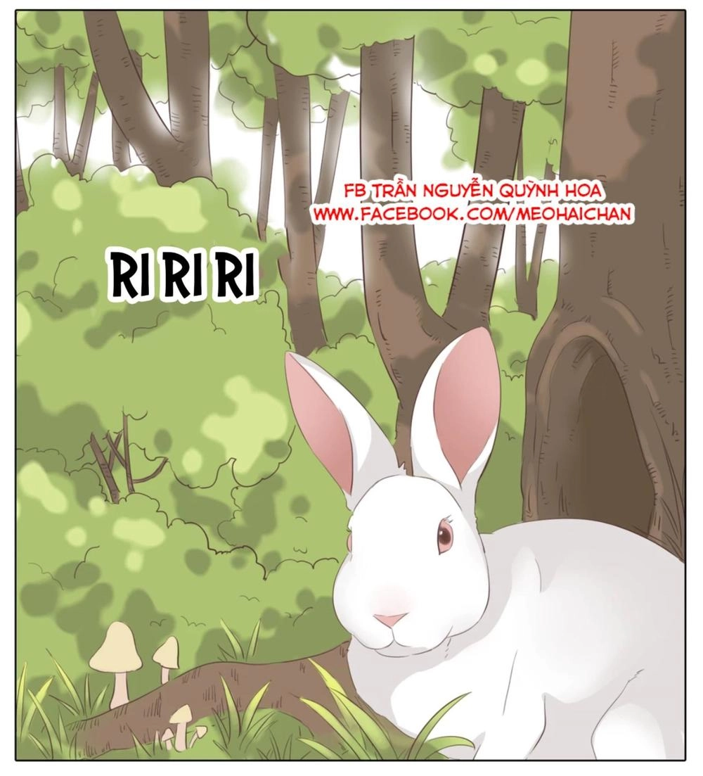 Xin Chào! Dân Nữ Chapter 31 - 67