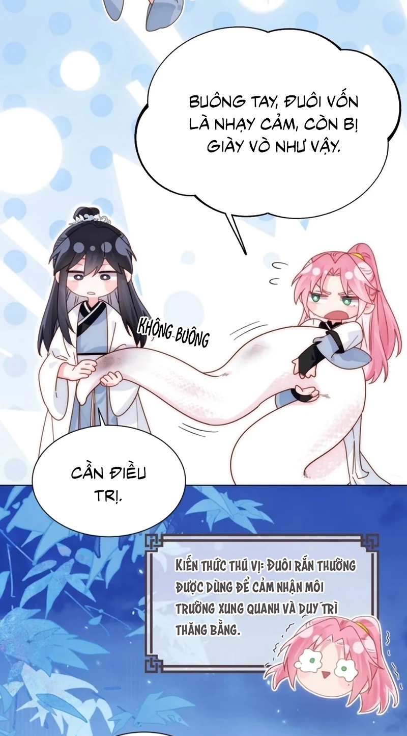 Tôi Phải Làm Một Kẻ Đại Xấu Xa Chapter 188 - 44