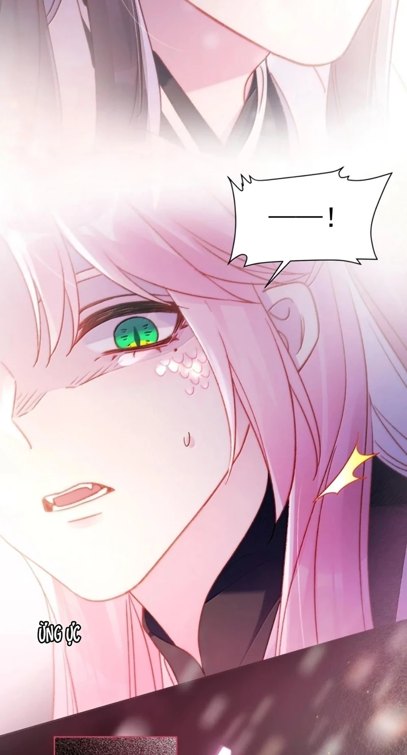 Tôi Phải Làm Một Kẻ Đại Xấu Xa Chapter 191 - 40