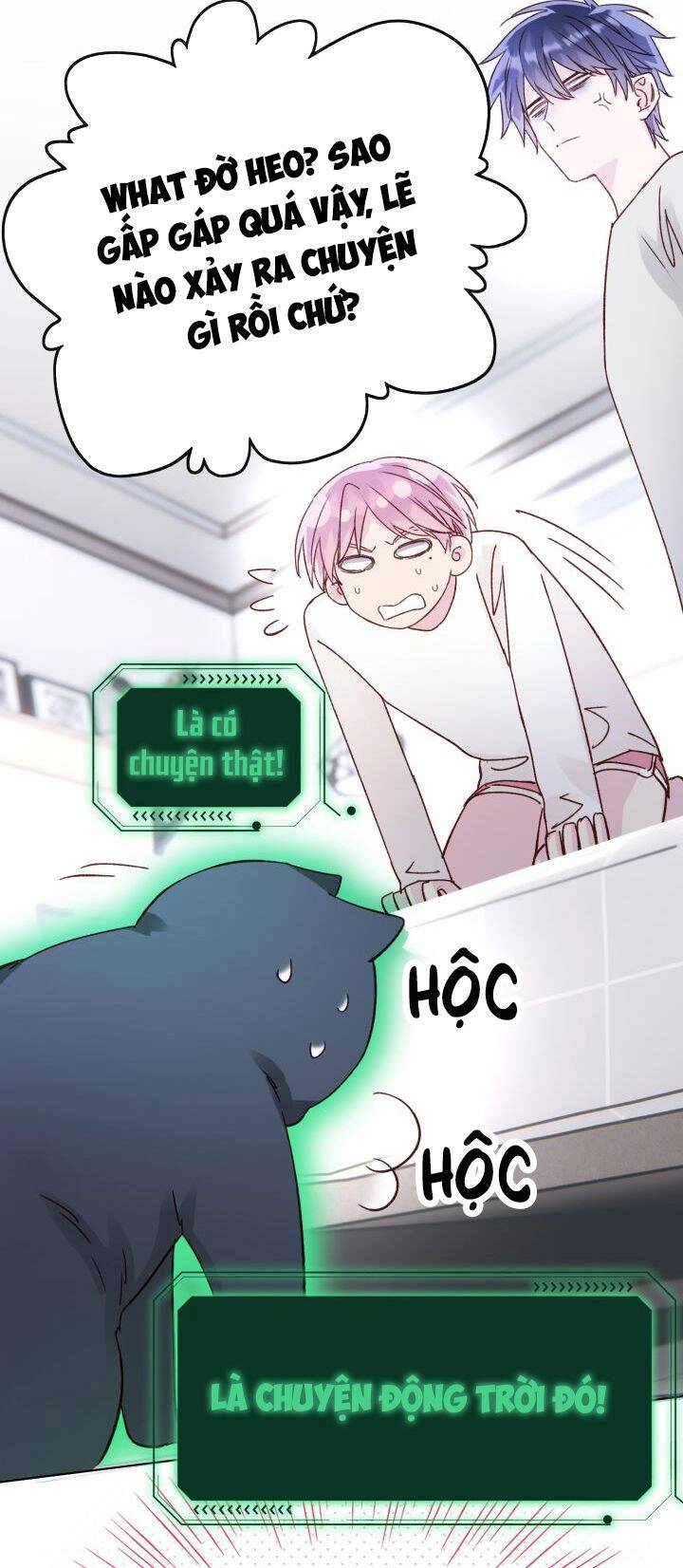 Tôi Phải Làm Một Kẻ Đại Xấu Xa Chapter 37 - 34