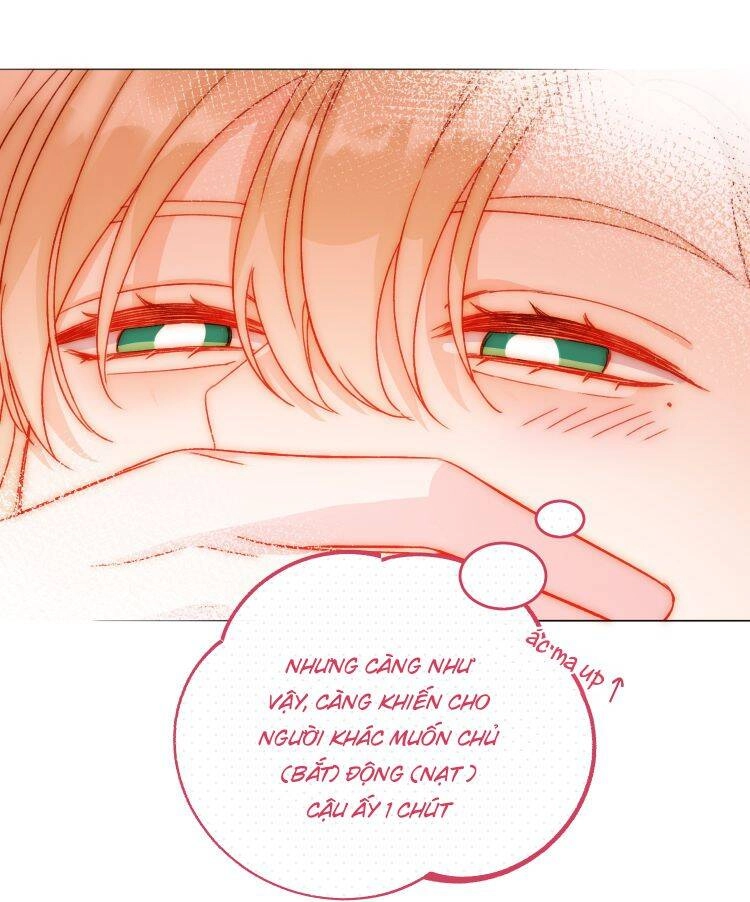 Tôi Phải Làm Một Kẻ Đại Xấu Xa Chapter 39 - 17