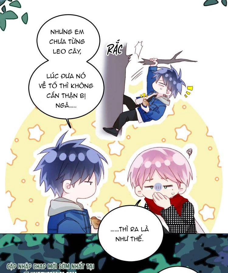 Tôi Phải Làm Một Kẻ Đại Xấu Xa Chapter 43 - 23