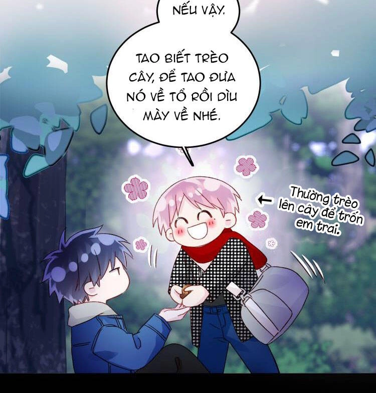 Tôi Phải Làm Một Kẻ Đại Xấu Xa Chapter 43 - 31