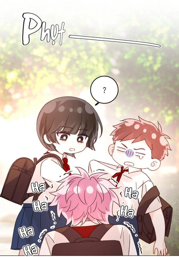 Tôi Phải Làm Một Kẻ Đại Xấu Xa Chapter 62 - 15