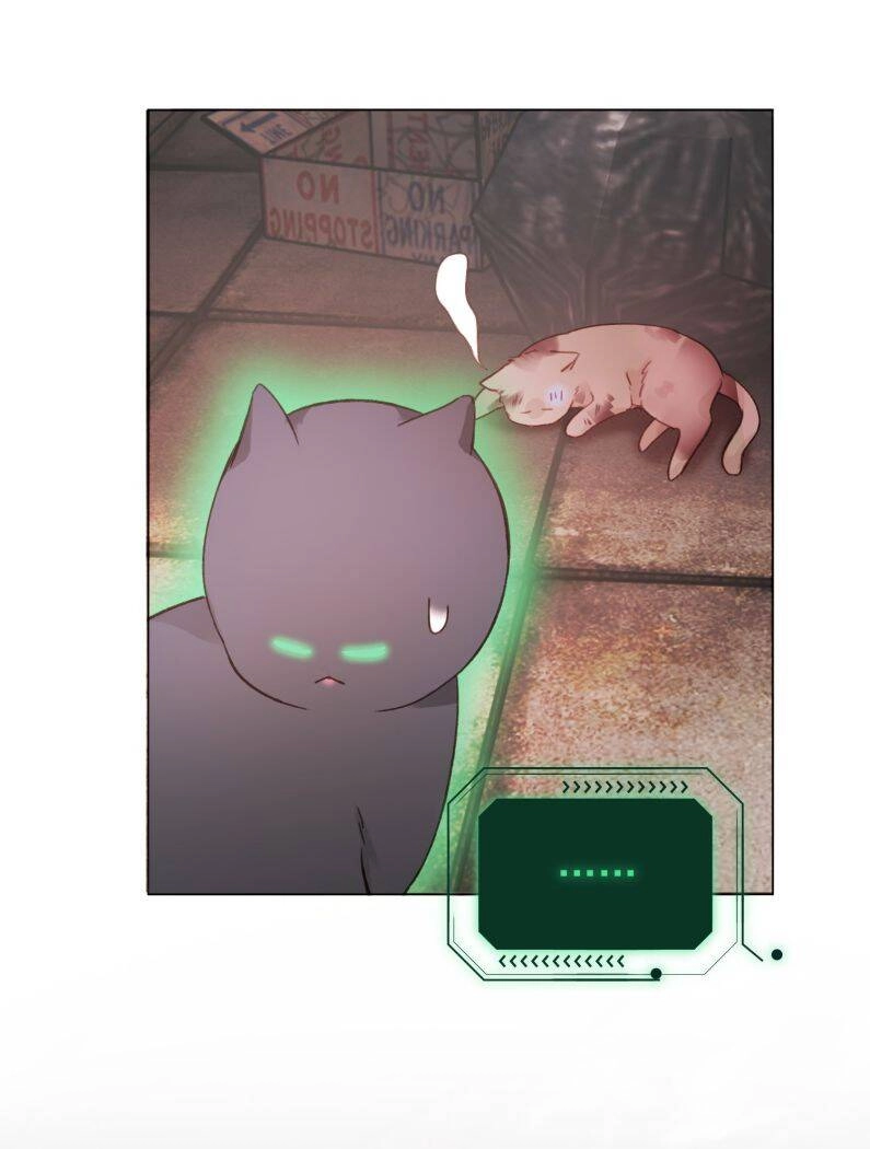 Tôi Phải Làm Một Kẻ Đại Xấu Xa Chapter 65 - 5