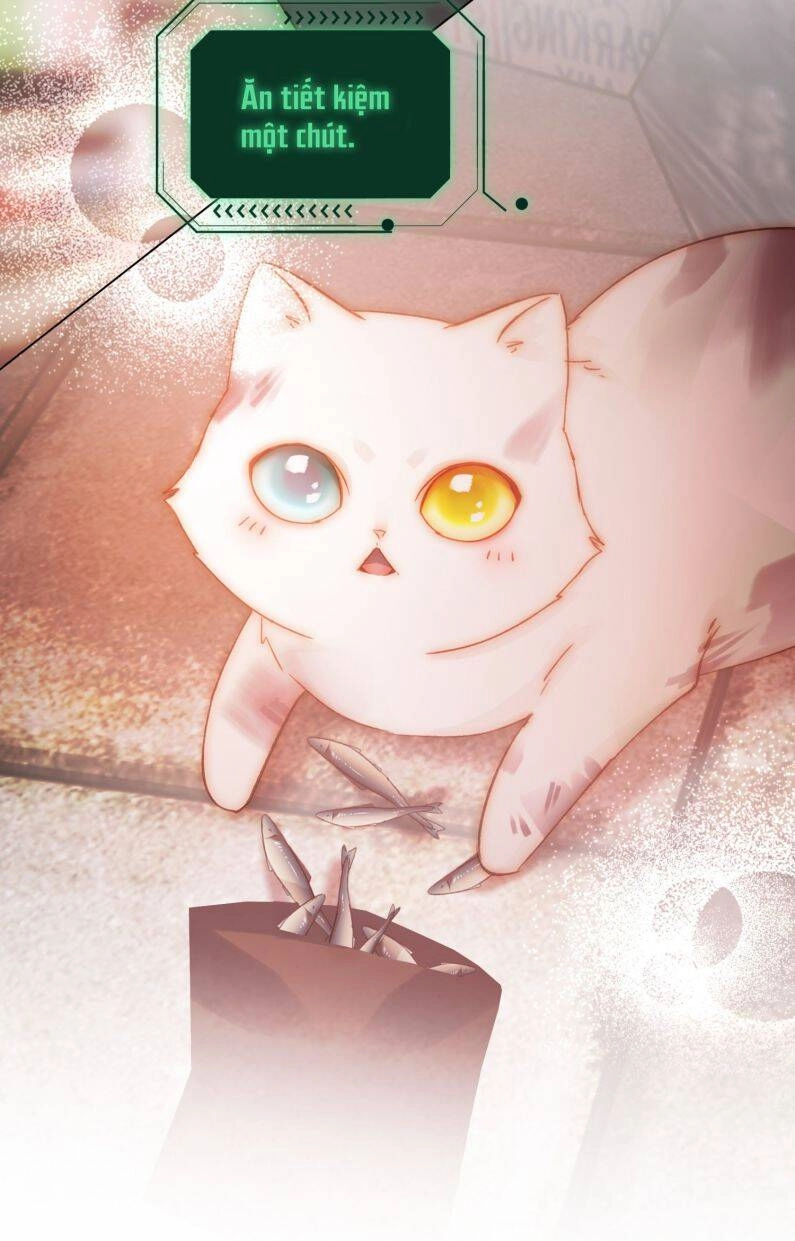 Tôi Phải Làm Một Kẻ Đại Xấu Xa Chapter 65 - 8