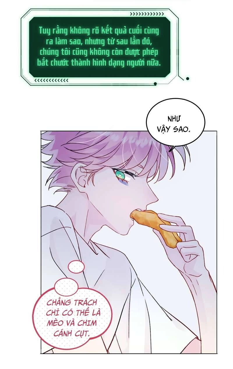 Tôi Phải Làm Một Kẻ Đại Xấu Xa Chapter 94 - 21