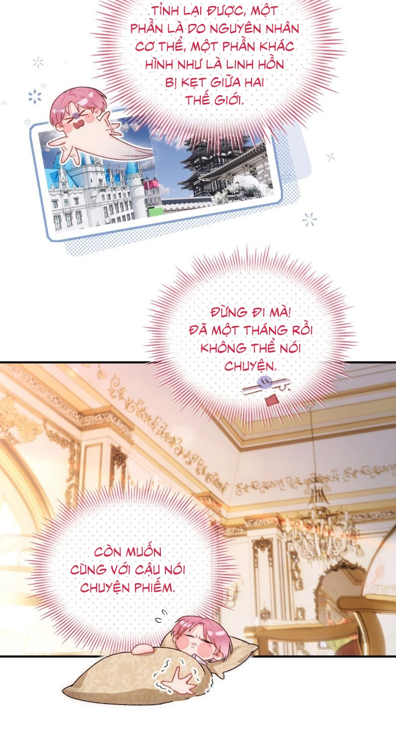 Tôi Phải Làm Một Kẻ Đại Xấu Xa Chapter 157 - 33