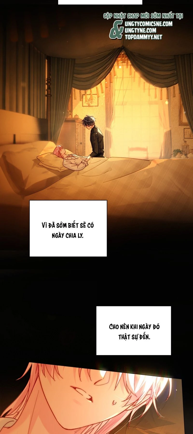 Tôi Phải Làm Một Kẻ Đại Xấu Xa Chapter 181 - 2