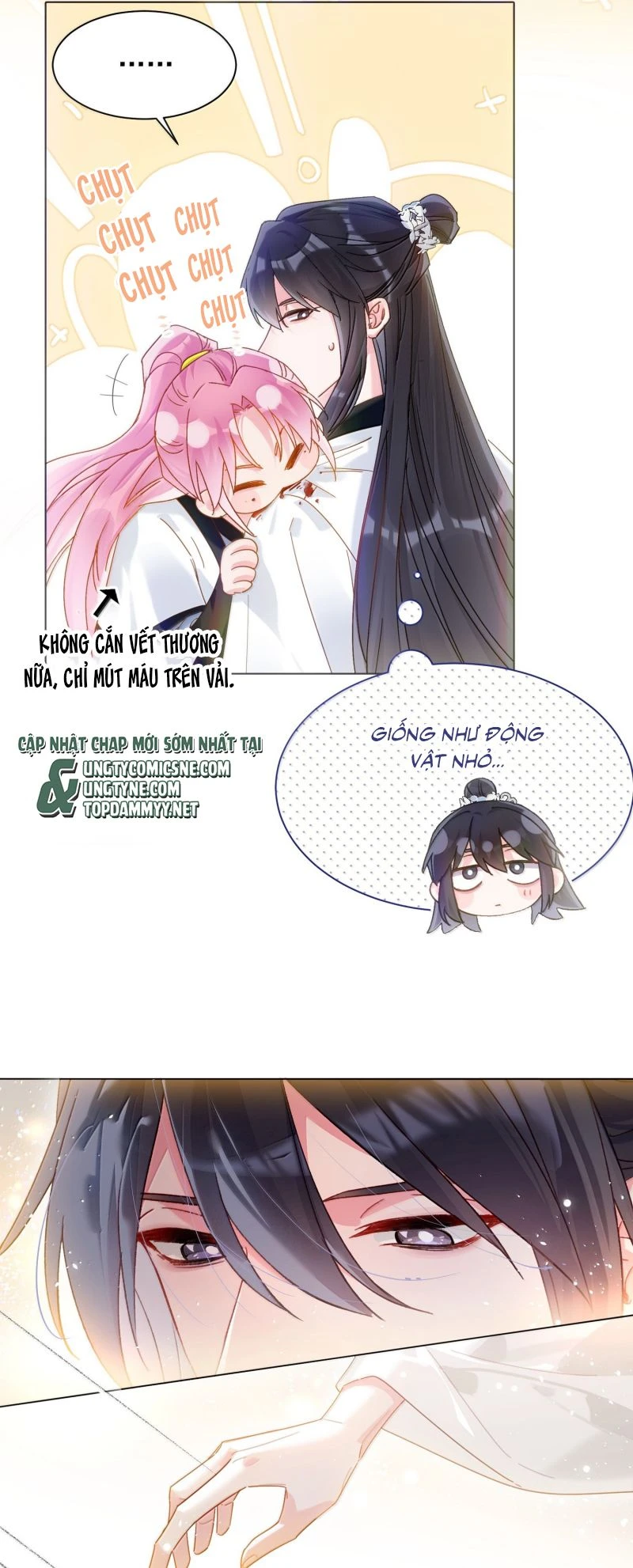 Tôi Phải Làm Một Kẻ Đại Xấu Xa Chapter 181 - 17