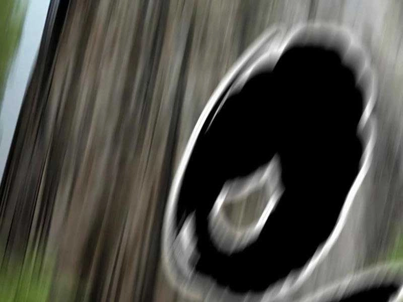 Thể Thao Cực Hạn Chapter 459.5 - 87