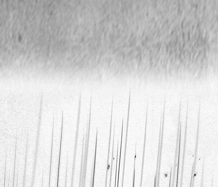 Thể Thao Cực Hạn Chapter 144 - 107