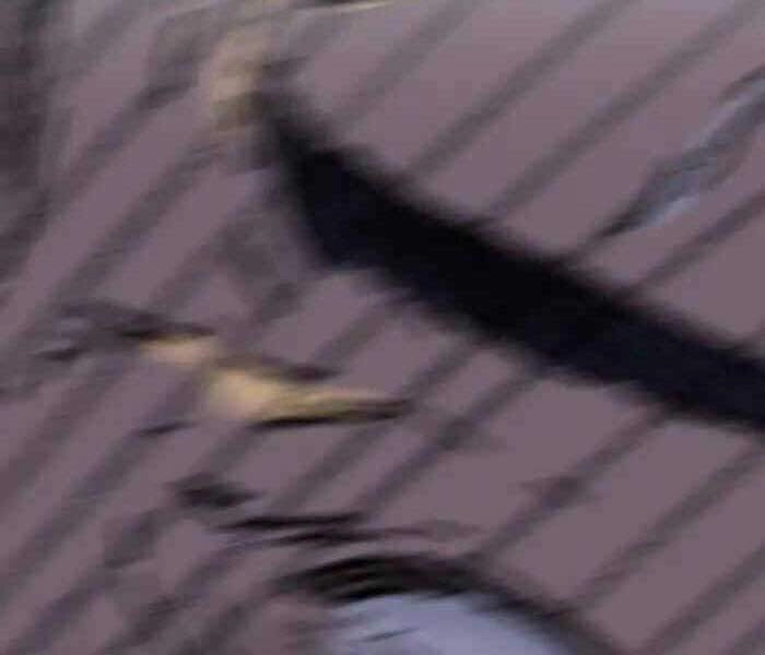 Thể Thao Cực Hạn Chapter 244 - 155