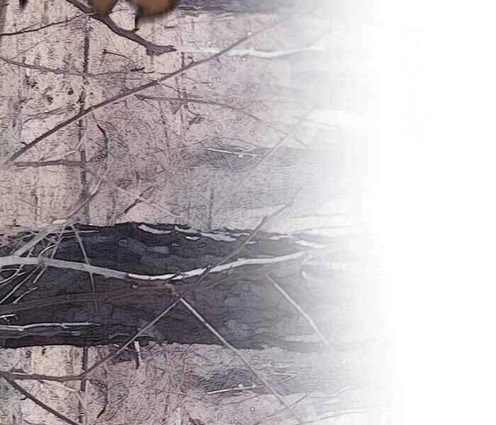 Thể Thao Cực Hạn Chapter 258 - 96