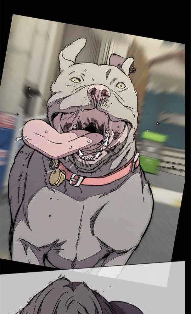 Thể Thao Cực Hạn Chapter 340 - 101