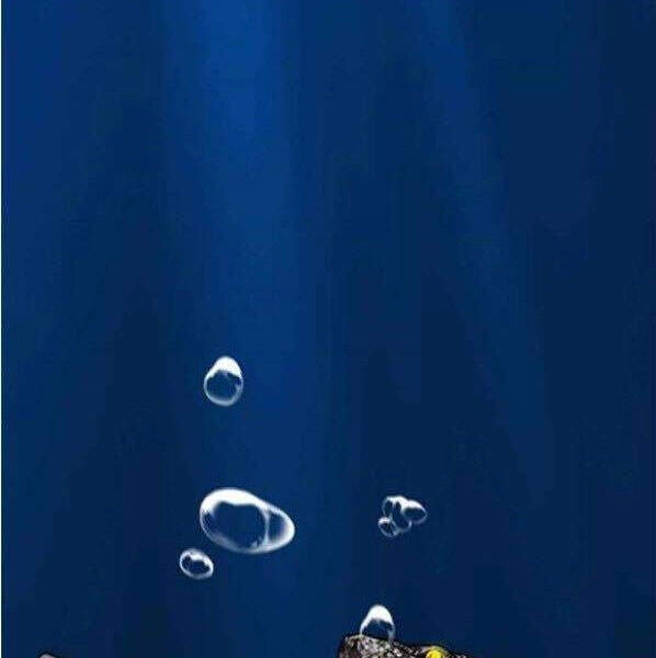 Thể Thao Cực Hạn Chapter 341 - 88