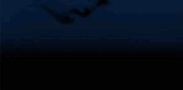 Thể Thao Cực Hạn Chapter 341.5 - 75